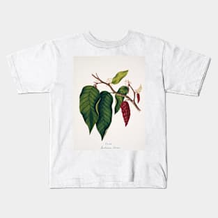 Chocolate cocoa plant (C012/2094) Kids T-Shirt